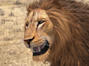 Lion the King Textured Hair 3D मॉडल