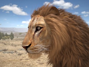 Lion the King Textured Hair 3D मॉडल