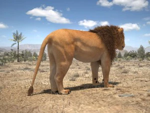 Cabelo Texturizado Le&atilde;o, o Rei Modelo 3D