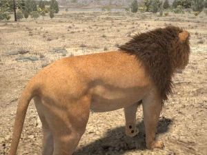 Cabelo Texturizado Le&atilde;o, o Rei Modelo 3D