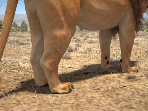Lion the King Textured Hair 3D मॉडल