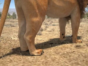 Cabelo Texturizado Le&atilde;o, o Rei Modelo 3D