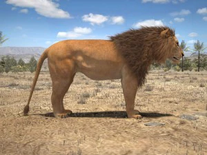 Cabelo Texturizado Le&atilde;o, o Rei Modelo 3D