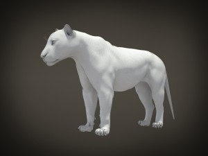 Lion the King Textured Hair 3D मॉडल
