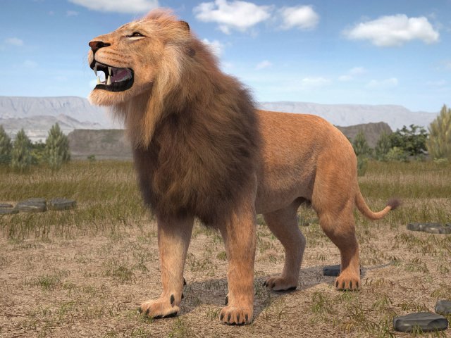 Lion the King Hair and Fur 3D Model .c4d .max .obj .3ds .fbx .stl .blend