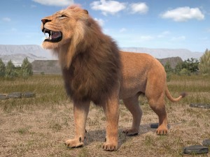Lion the King Hair and Fur Model 3D
