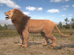 Lion the King Hair and Fur 3D Model