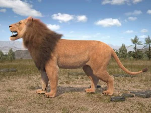 Lion the King Hair and Fur 3D Model