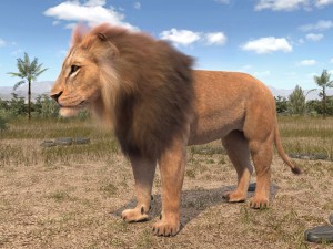 Lion the King Hair and Fur 3D Model