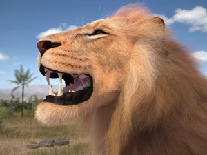 Lion the King Hair and Fur 3D Model
