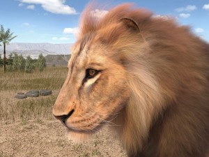 Lion the King Hair and Fur 3D Model