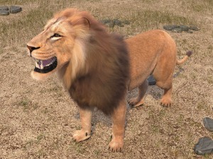 Lion the King Hair and Fur 3D Model