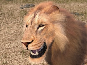 Lion the King Hair and Fur 3D Model