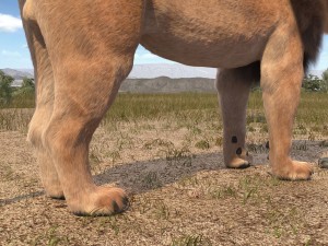Lion the King Hair and Fur 3D Model