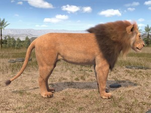 Lion the King Hair and Fur 3D Model