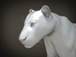 Lion the King Hair and Fur 3D Model
