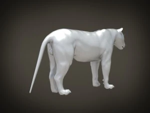 Lion the King Hair and Fur 3D Model