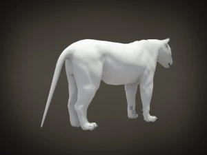 Lion the King Hair and Fur 3D Model