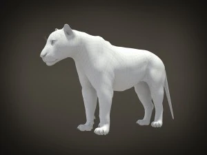 Lion the King Hair and Fur 3D Model