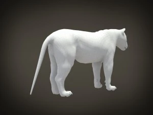Lion the King Hair and Fur 3D Model