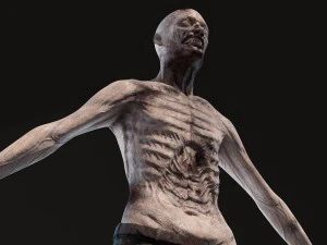 Zombie 3D Model