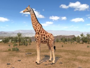 Giraffe Rigged for 3dsmax 3D 模型