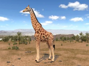 Giraffe Rigged for 3dsmax 3D Model