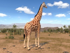 Giraffe Rigged for 3dsmax 3D 模型