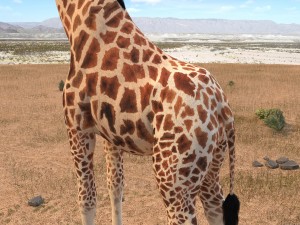 Giraffe Rigged for 3dsmax 3D 模型