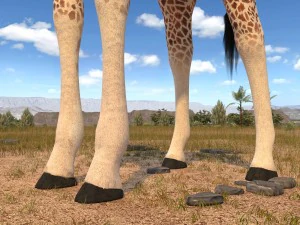 Giraffe Rigged for 3dsmax 3D Model