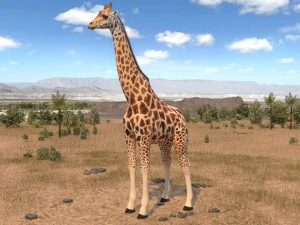 Giraffe Rigged for 3dsmax 3D Model