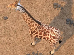 Giraffe Rigged for 3dsmax 3D Model