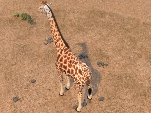 Giraffe Rigged for 3dsmax 3D 模型