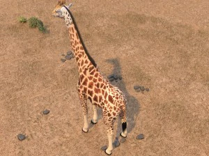 Giraffe Rigged for 3dsmax 3D Model
