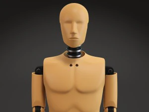 Crash Test Dummy 3D Model