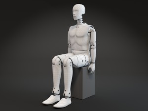 Crash Test Dummy Modèle 3D