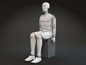 Crash Test Dummy 3D Model