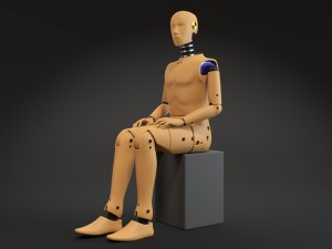 Crash Test Dummy Modèle 3D