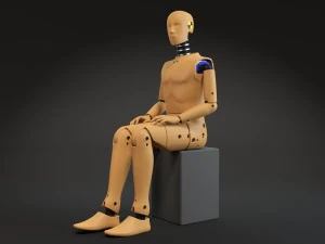 Crash Test Dummy 3D Model