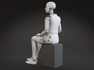 Crash Test Dummy 3D Model
