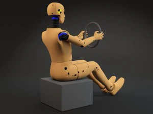 Crash Test Dummy 3D Model