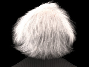 Albert Einstein 3D 모델