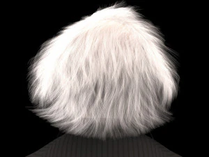 Albert Einstein 3D Model