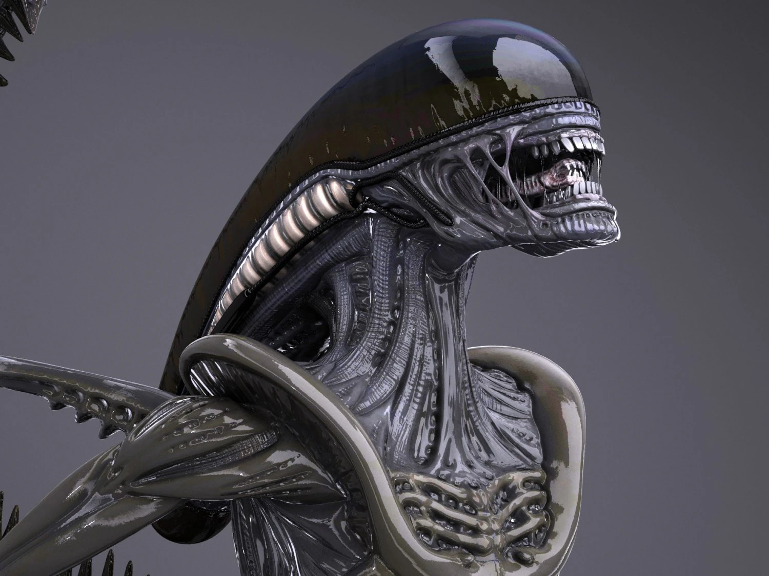 Alien Xenomorph High Detail 3D Model .c4d .max .obj .3ds .fbx .stl .blend 