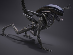 Alien Xenomorph High Detail 3D Модель
