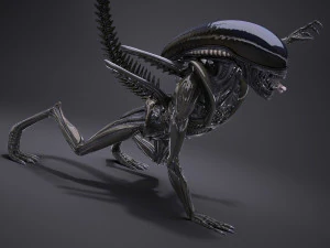 Alien Xenomorph High Detail 3D Model