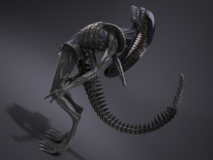 Alien Xenomorph High Detail 3D Модель