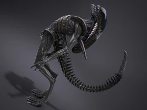 Alien Xenomorph High Detail 3D Model