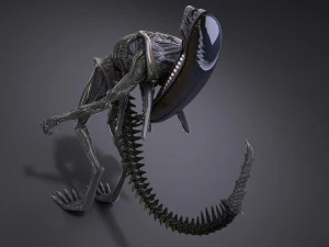 Alien Xenomorph High Detail 3D Model
