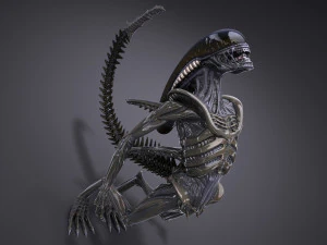 Alien Xenomorph High Detail 3D Model